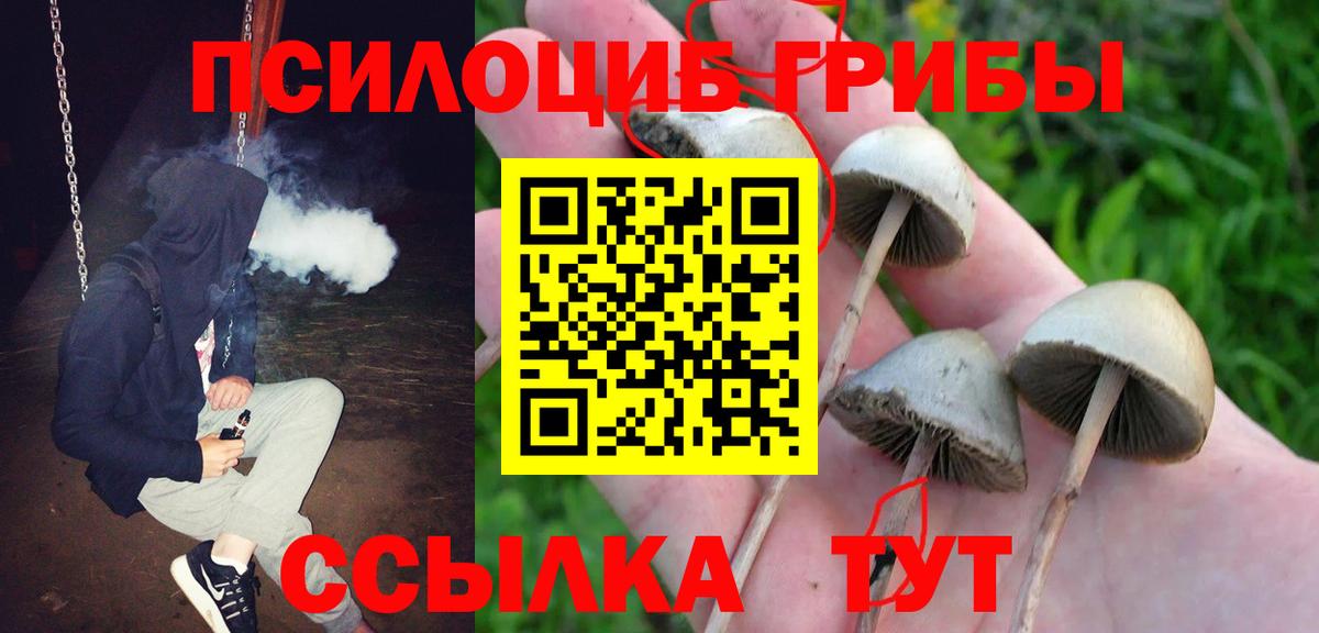 Зеленодольск  Псилоцибиновые грибы GOLDEN TEACHER  Вход с VPN 