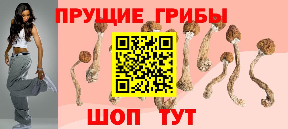 Галлюциногенные грибы MAGIC MUSHROOMS Зеленодольск